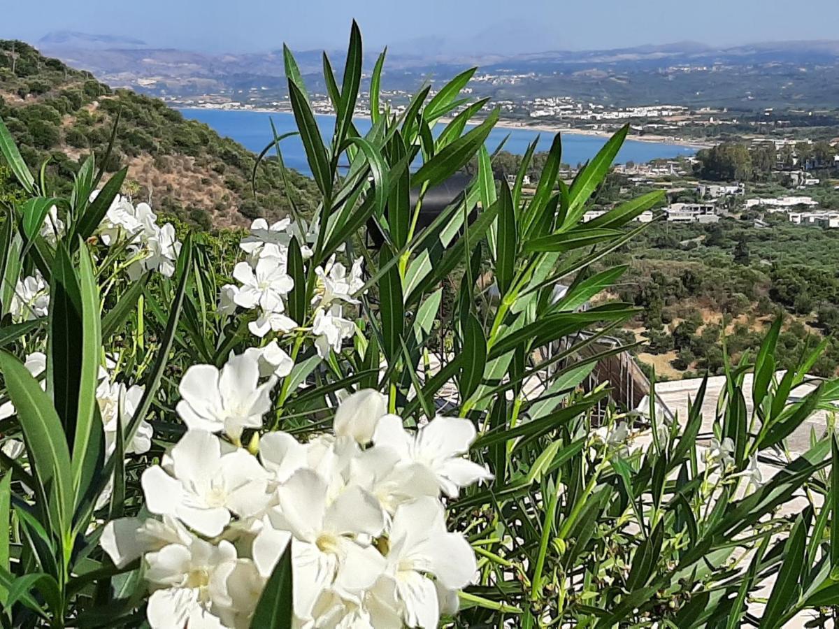 Aloe Villa Chania Crete Jeorjúpoli Kültér fotó