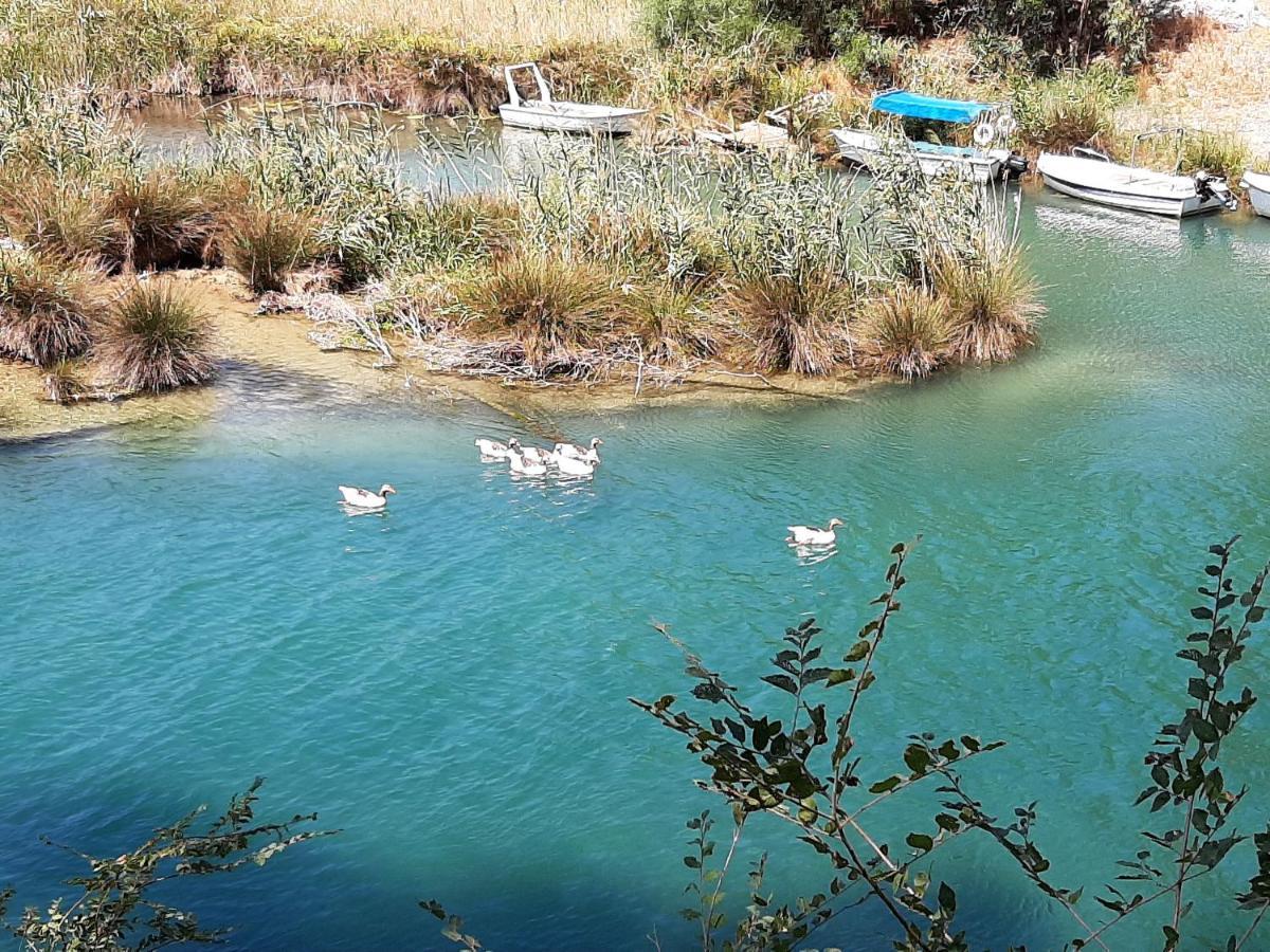 Aloe Villa Chania Crete Jeorjúpoli Kültér fotó
