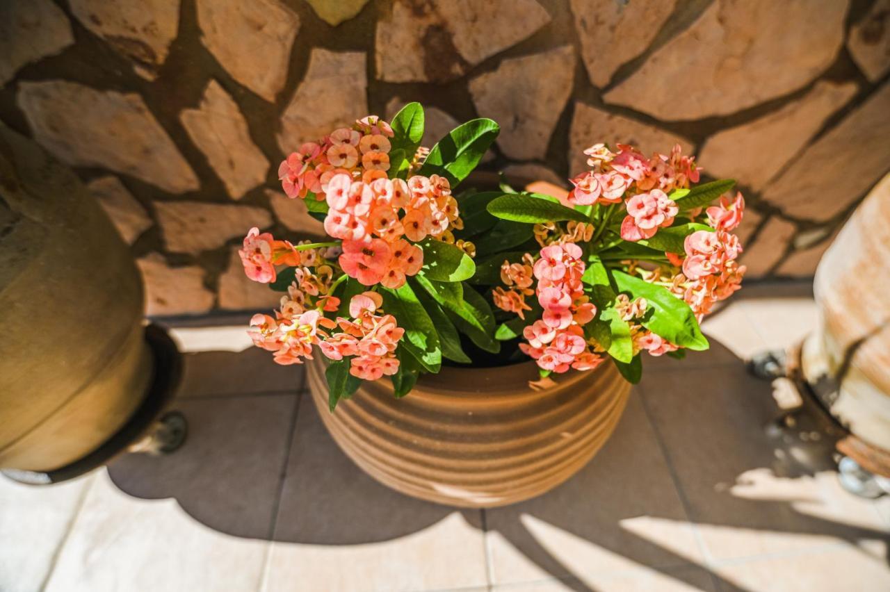 Aloe Villa Chania Crete Jeorjúpoli Kültér fotó